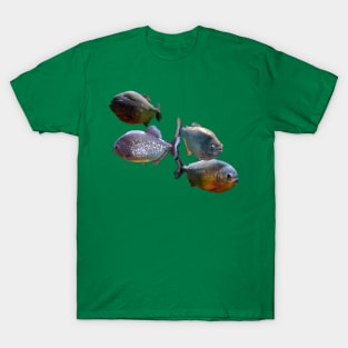 Red-Bellied Piranha T-Shirt